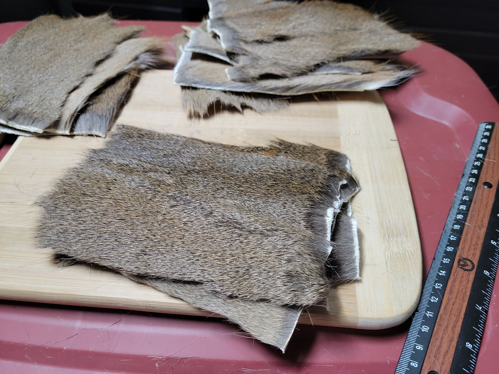 Thumbnail: Extra Extra Short Tanned Super Select Deer Hair (Whitetail Deer)
