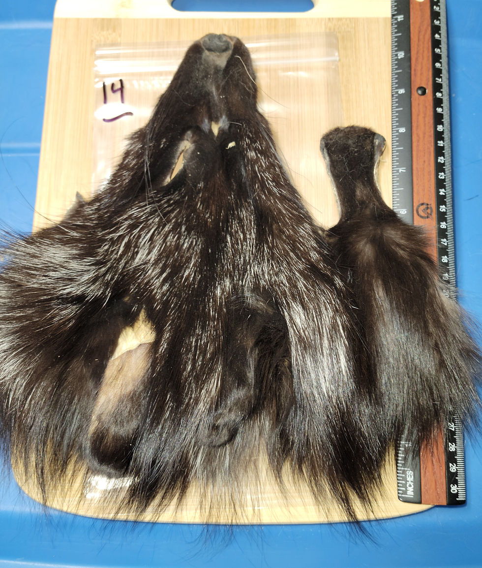 Miniature : Masque de Renard Argenté AAA 8-14