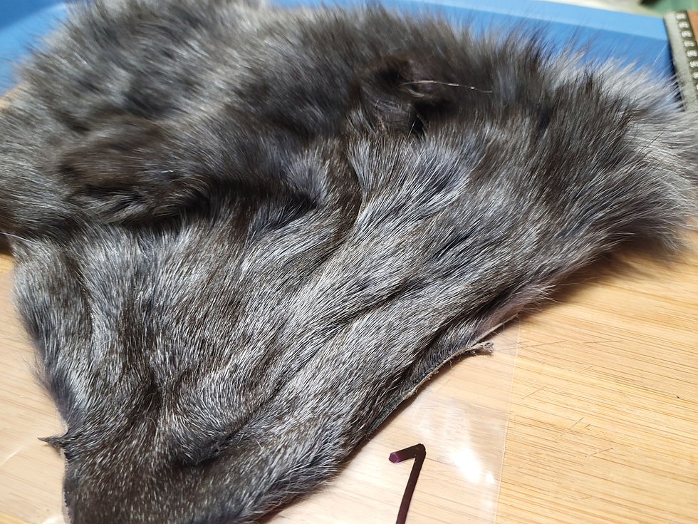 Thumbnail: Blue Fox AAA Blue DUN  Fox Mask