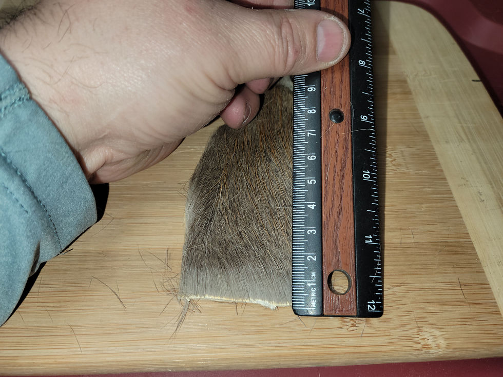 Thumbnail: Extra Extra Short Tanned Super Select Deer Hair (Whitetail Deer)