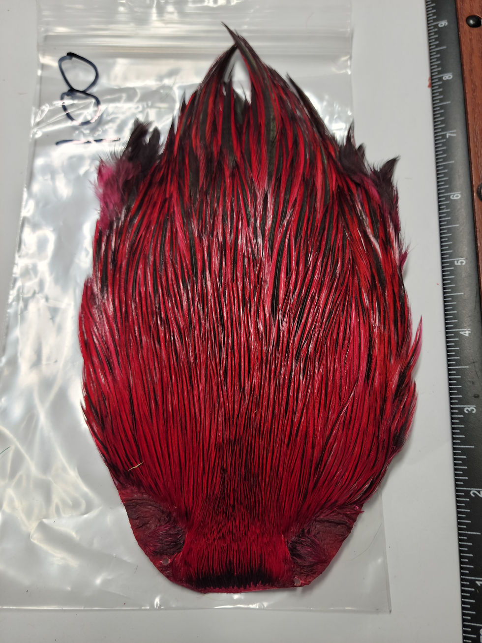 Miniature : Cou de Coq Super Select AAA Naturel Badger Rose Red