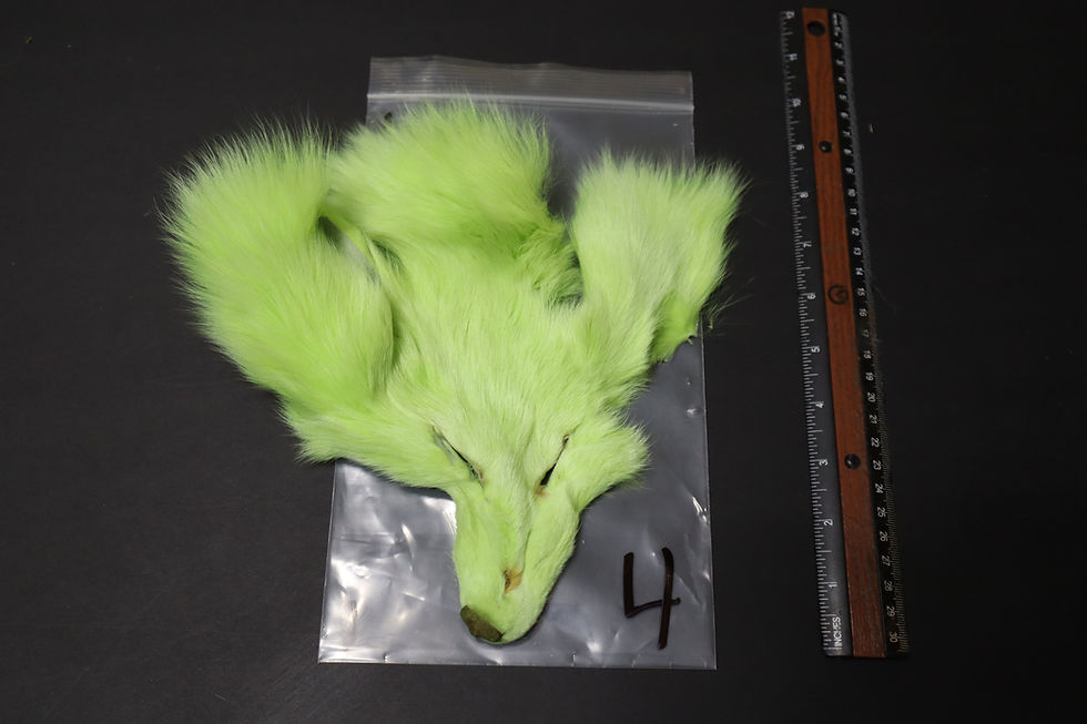 Thumbnail: Masque de Renard Arctique Fox AAA 1-9 Teint Vert Chartreuse