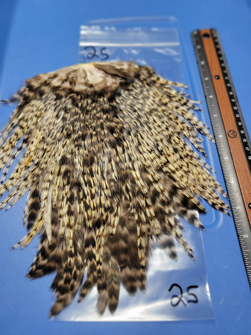 Thumbnail: Our Large Rooster Saddles Super Select AAA Grizzly 22-28
