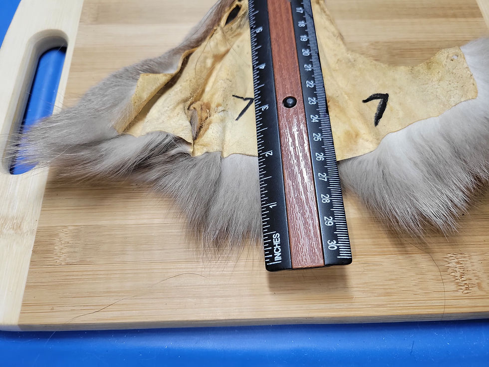 Thumbnail: Fox Mask Fox AAA 1-7