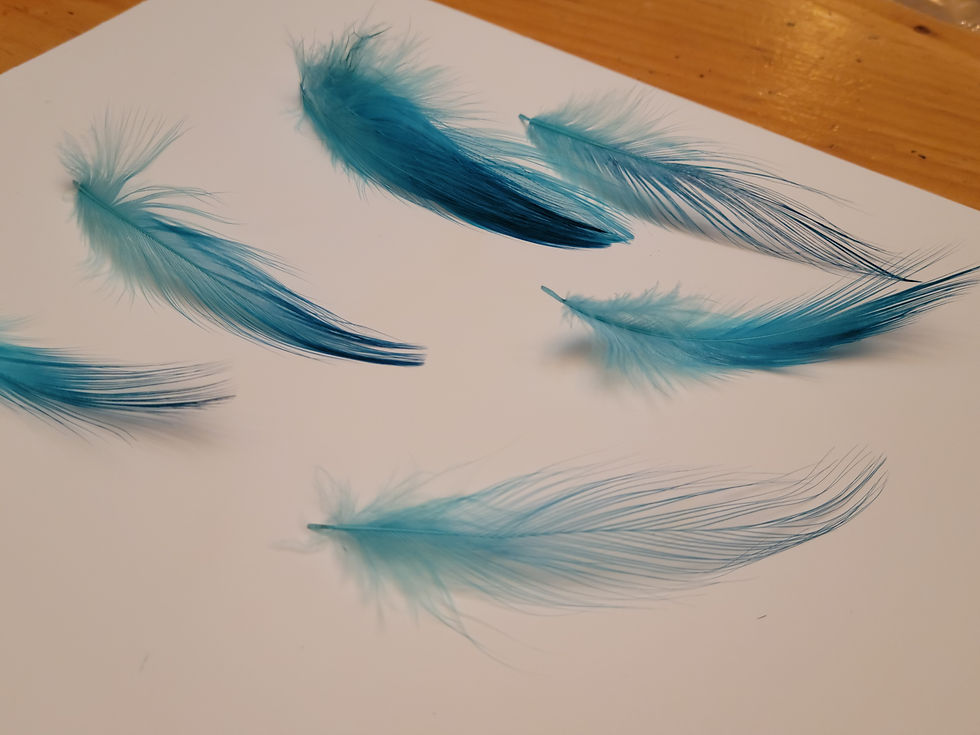 Miniature : Plumes AAA de Héron Teint Cyan