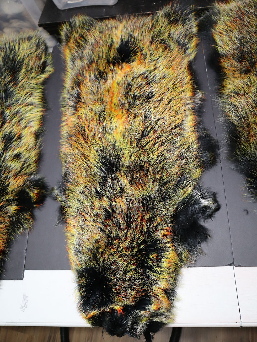 Miniature : Tanuki - Finn Racoon Fire Racoon Peau Entière - FULL SKIN