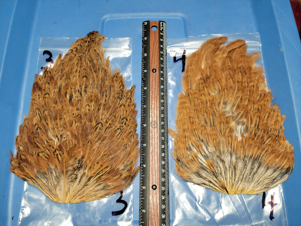 Thumbnail: Natural hen Saddles Variant Dark Ginger - Reddish Brown 1-19