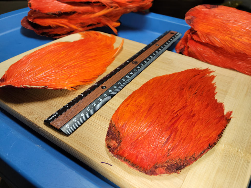 Thumbnail: Orange Dyed Rooster Cape Neck