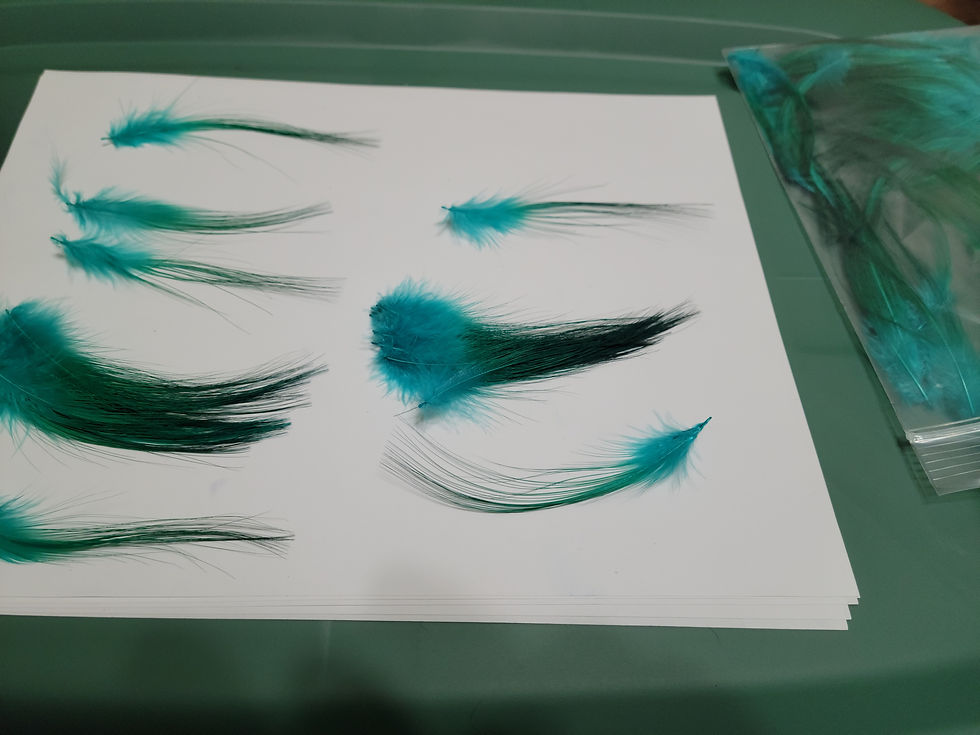 Miniature : Plumes AAA de Héron Teint Vert Émeraude