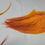 Miniature : Plumes AAA de Héron Teint Orange Feu - Fiery Orange