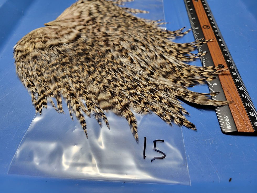 Thumbnail: Our Large Rooster Saddles Super Select AAA Grizzly 15-21