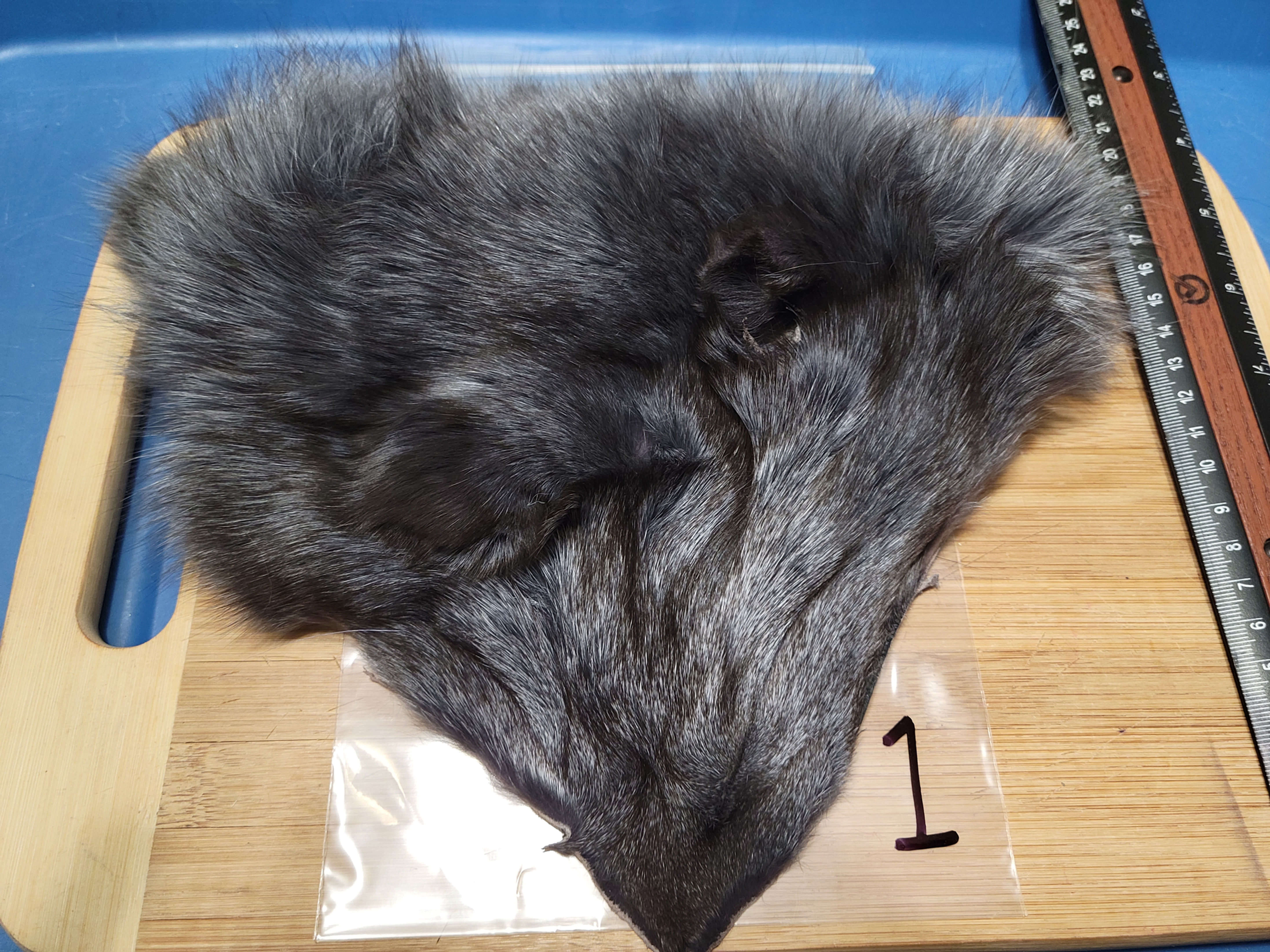 Masque de Renard Blue Fox AAA Teint Blue DUN