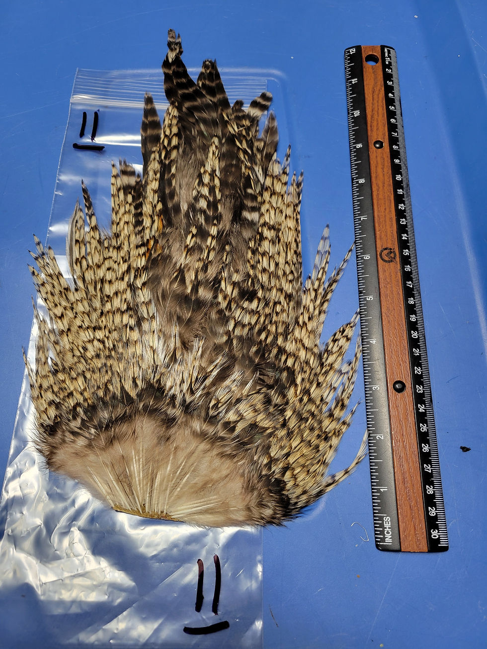 Thumbnail: Our Large Rooster Saddles Super Select AAA Grizzly 8-14