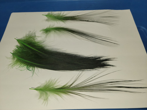 AAA Heron Feathers Dyed Olive Green from Natural Brown Shed à Plumes