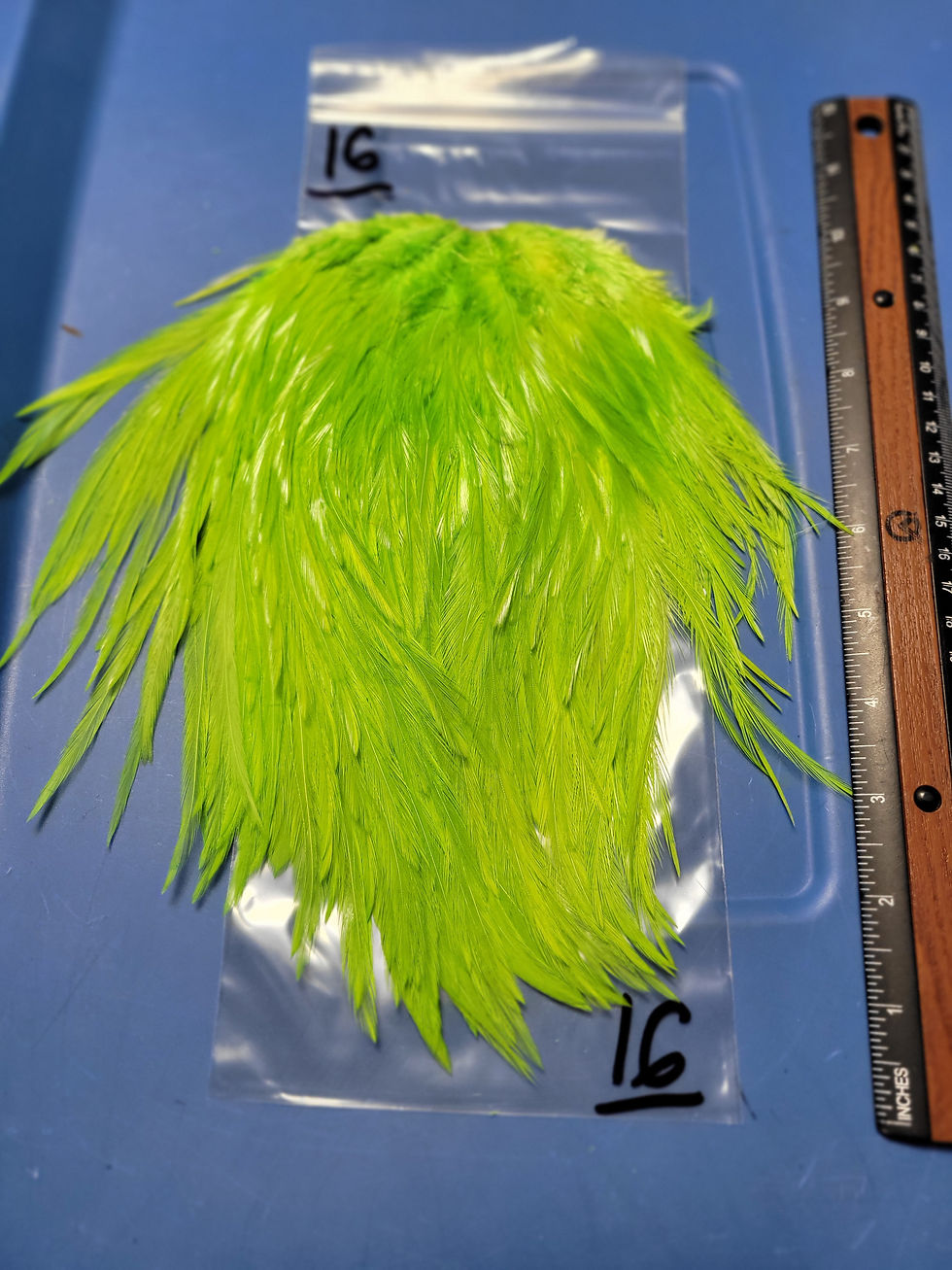 Miniature : Nos Grandes Selles de Coq Super Select AAA Teint Vert Chartreuse 15-20