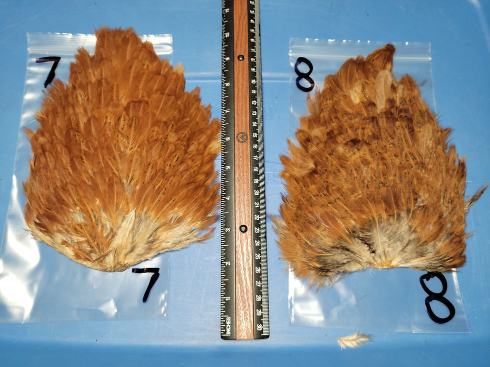 Thumbnail: Natural Hen Saddles Brown Variant 1-20
