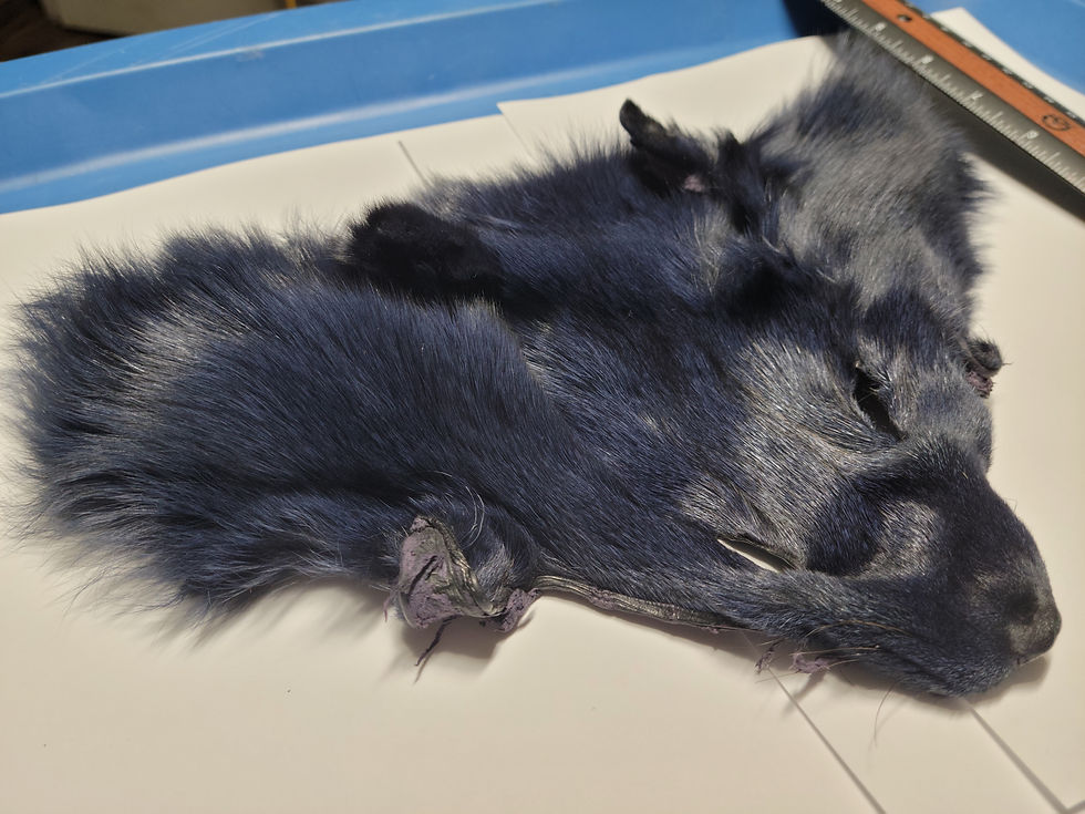Thumbnail: Blue Fox Mask AAA Dyed Yankee Blue (Dark Blue Steel)