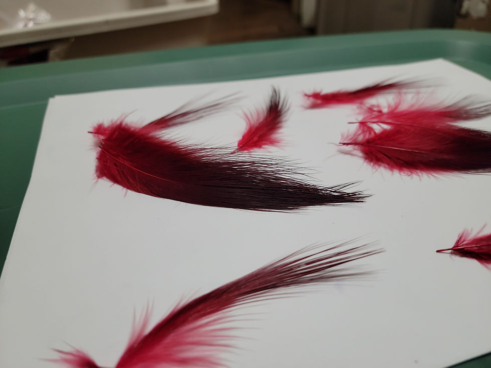 Miniature : Plumes AAA de Héron Teint Rouge Sang