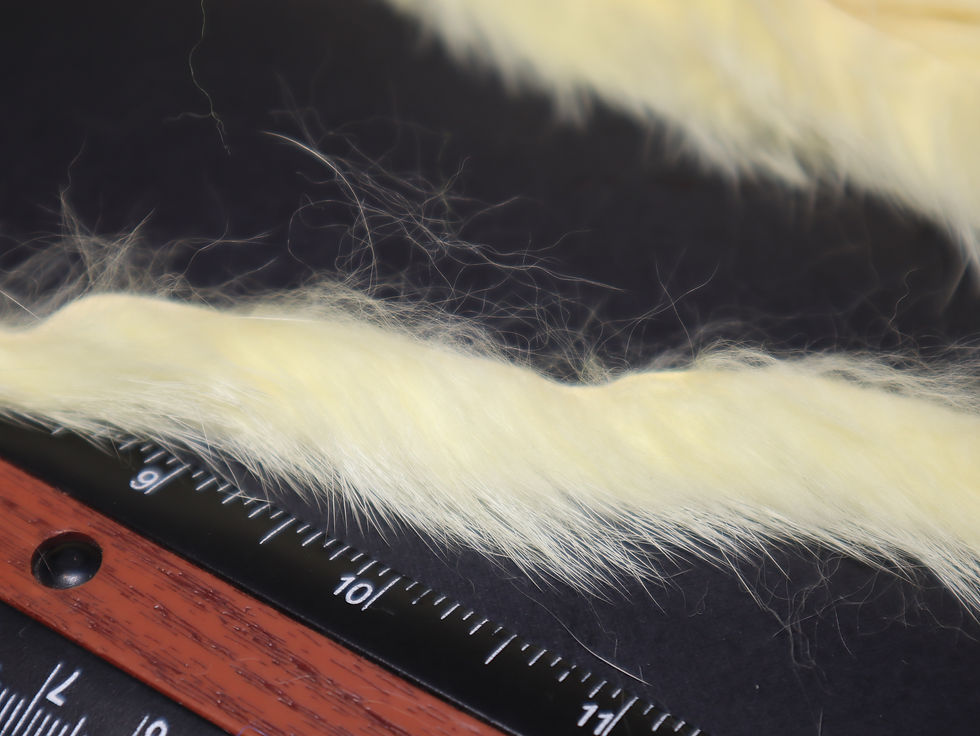 Thumbnail: AAA 1/8 inch Cream White Rabbit Strip