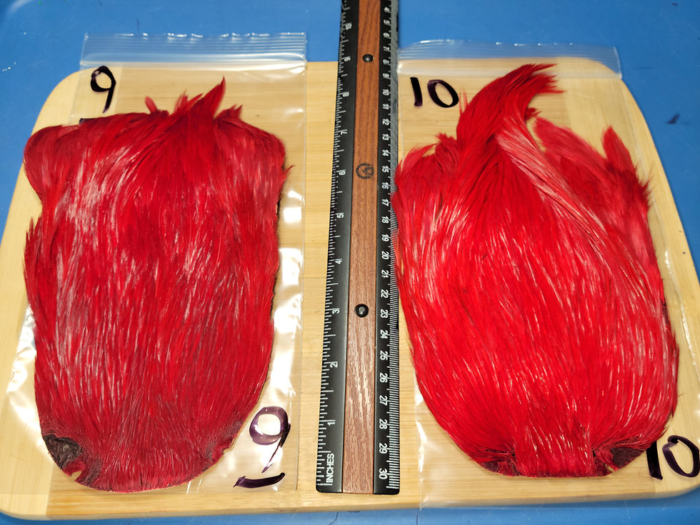 Thumbnail: Rooster Cape Super Select AAA Natural Badger Dyed Red  1-30