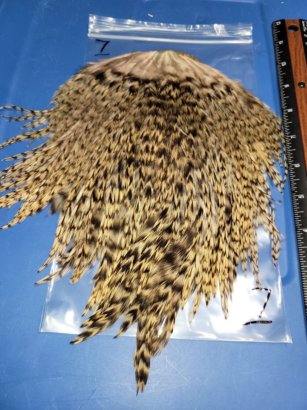 Miniature : Nos Selles de Coq Super Select AAA Speckled Badger Variant 1-14