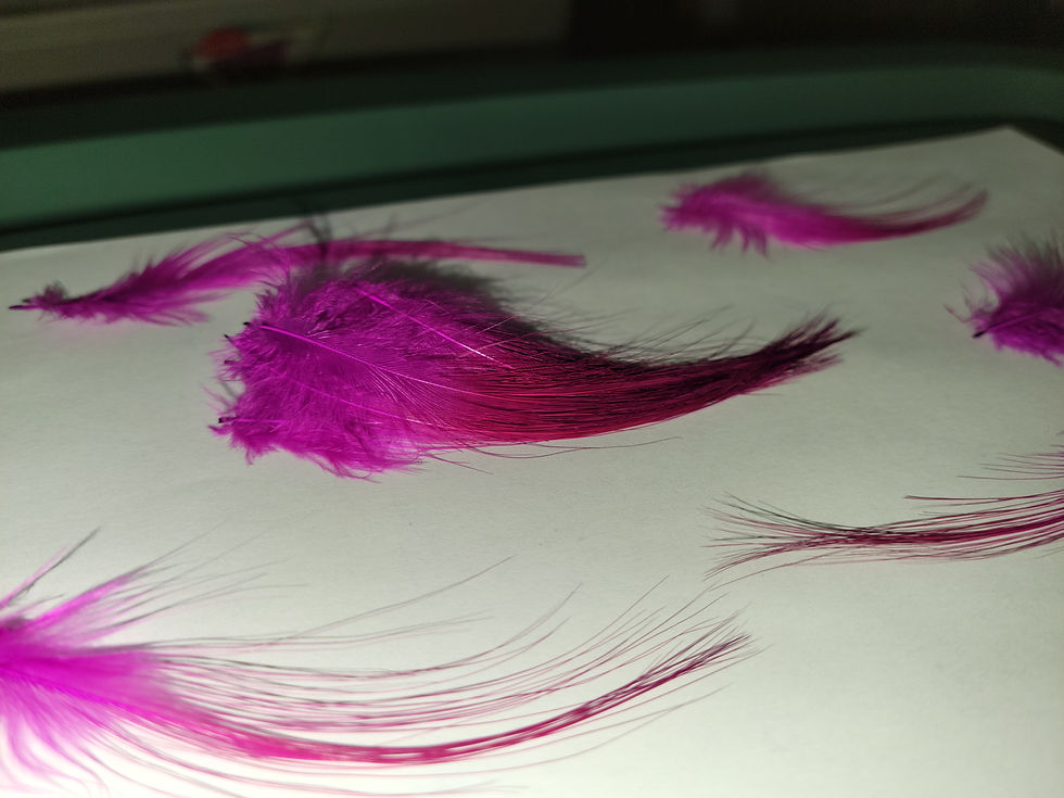 Miniature : Plumes AAA de Héron Teint Rose Magenta