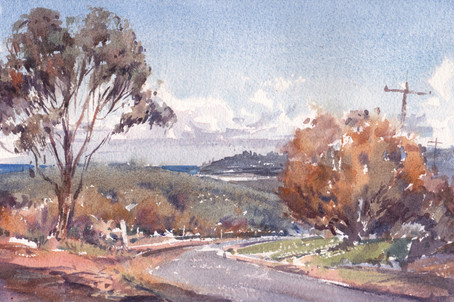 Road to Brooms Head