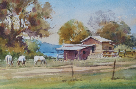 Grazing at Tyndale