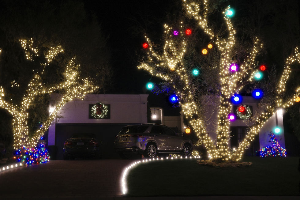 This is actually pretty minimal in terms of Hancock Park Xmas decorations