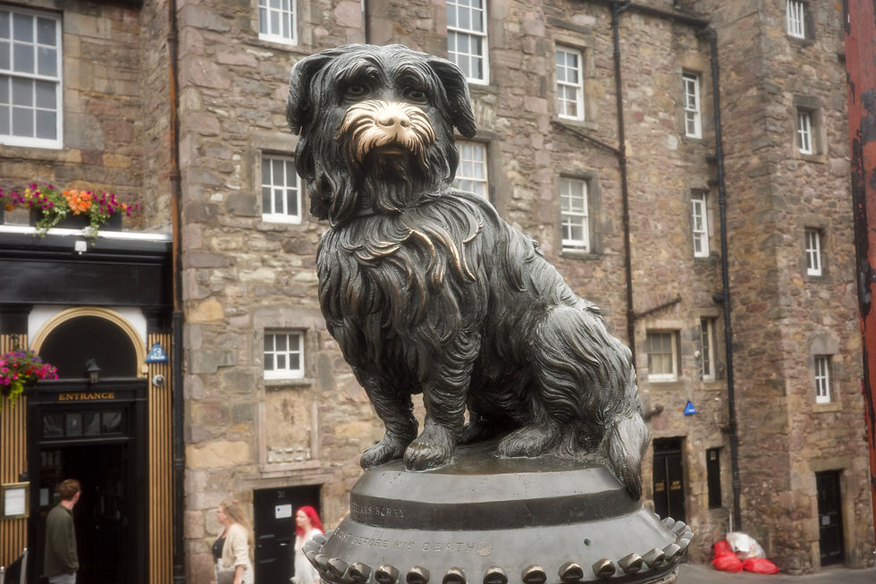 the statue of the legendary Greyfriars Bobby, not to be confused with Miles Chenwald who I love dearly but would definitely not sit watch by my grave for years following my death