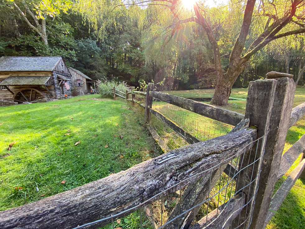 The old sheep farm on Cutalossa Road