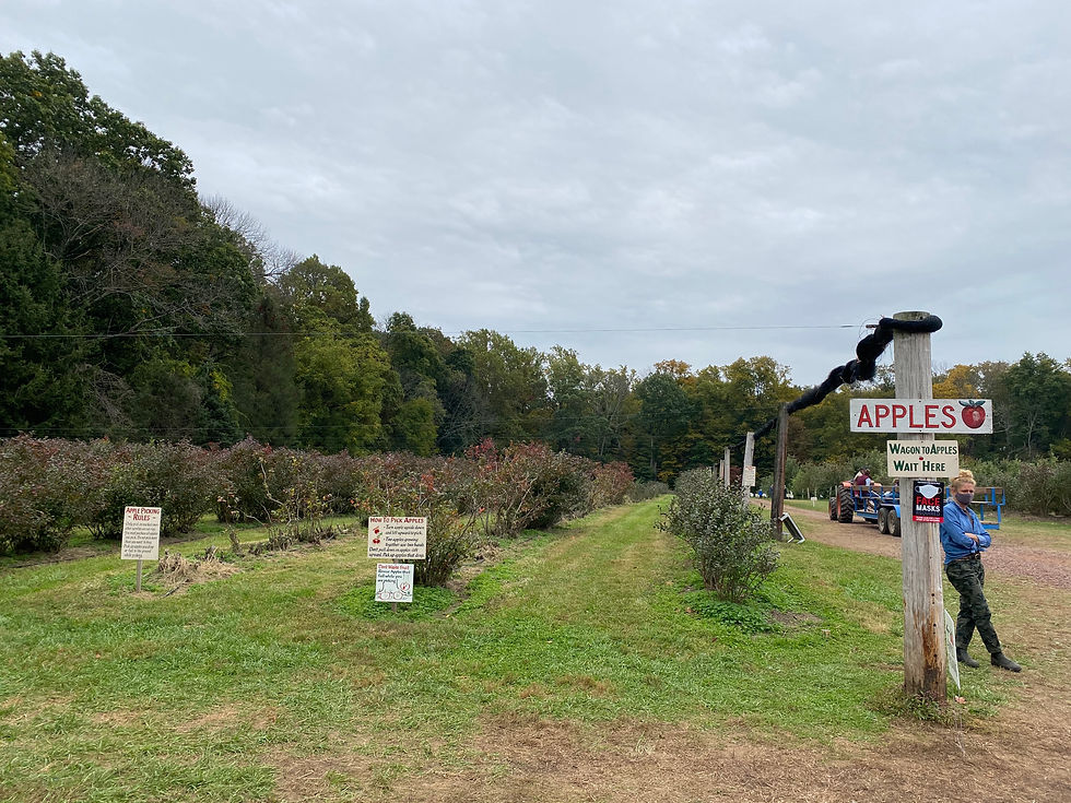 Solebury Orchards, where little Shelby and Abe used to work