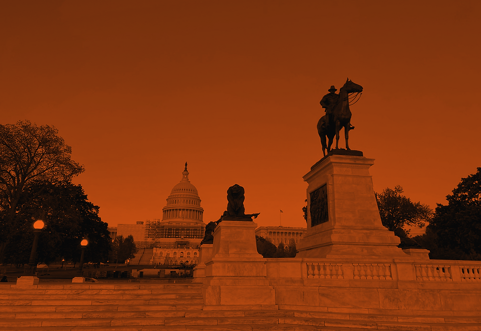Image of Washington DC March & Co.