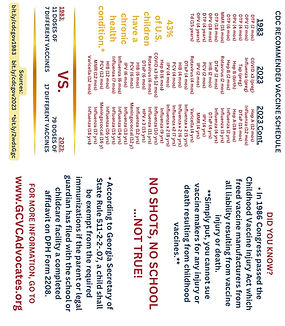 Folding Business Card 2.jpg