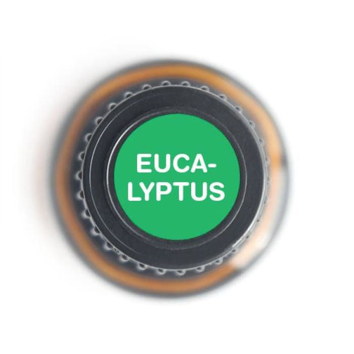 Thumbnail: Eucalyptus Radiata  Pure Essential OIl-15ml