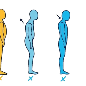 Proprioception and posture — how the brain loses position sense and chiropractic helps reset it, Chiropractic Works Oak Park