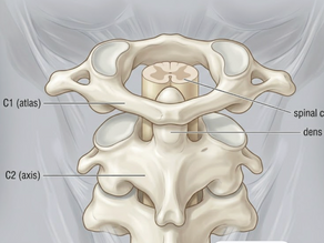 Vagus Nerve