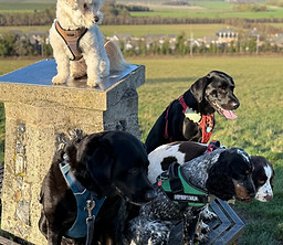 ciccio group_edited.jpg