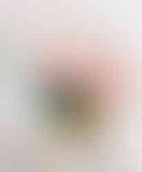 Raikas ja värikäs silkkikukkakimppu, jossa dahlioita, ruusuja ja tuoksuherneitä. Rusetilla sidottu kimppu kuvattuna modernin häätrendin mukaisesti.