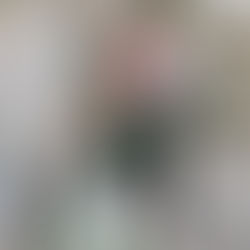 Silkkikukat sisustuksessa 2026 – ideat ja vinkit asetelmiin