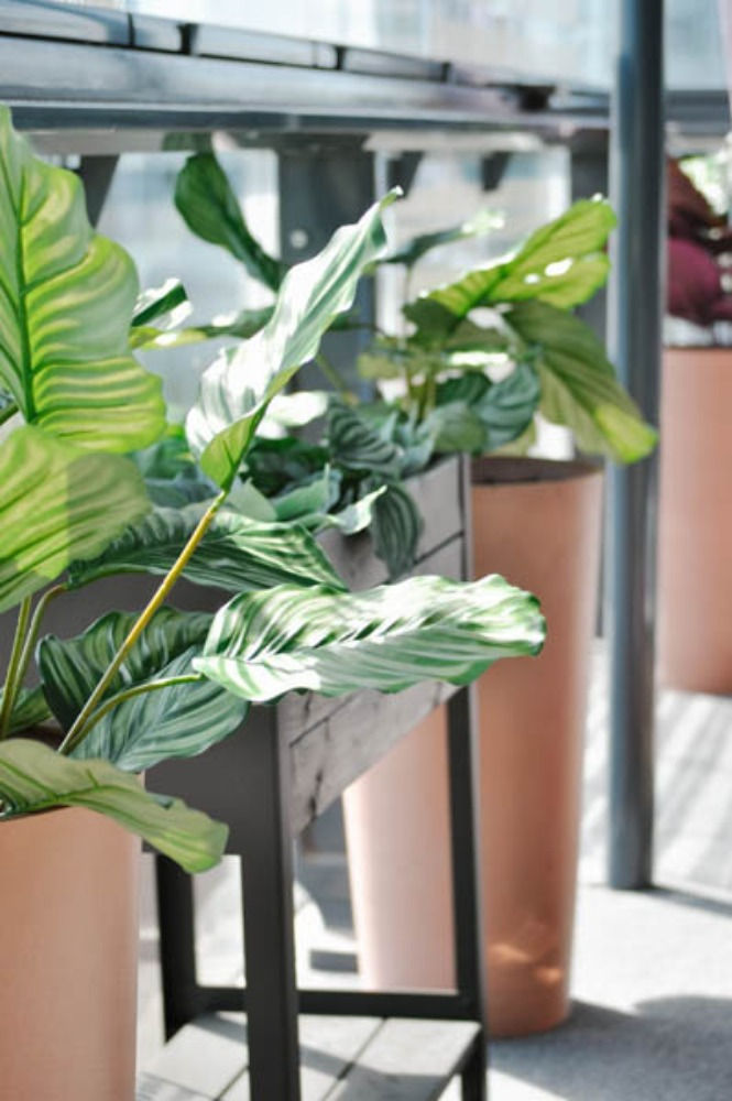 ivin Terassisuunnittelu - Ecopots ruukut