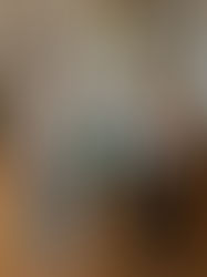 Rivinin kaksi omistajaa ison silkkikukka-asetelman edessä Ritarihuoneella