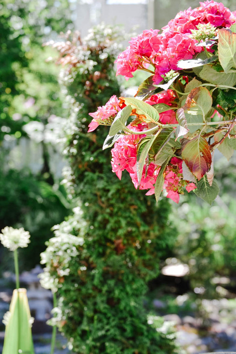 Rivin-Sisustus-hortensiat-hurmaa