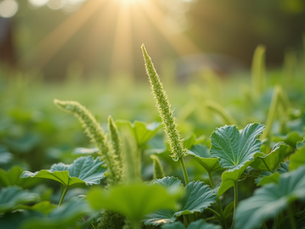 Top 10 Pest Prevention Tips for Homeowners
