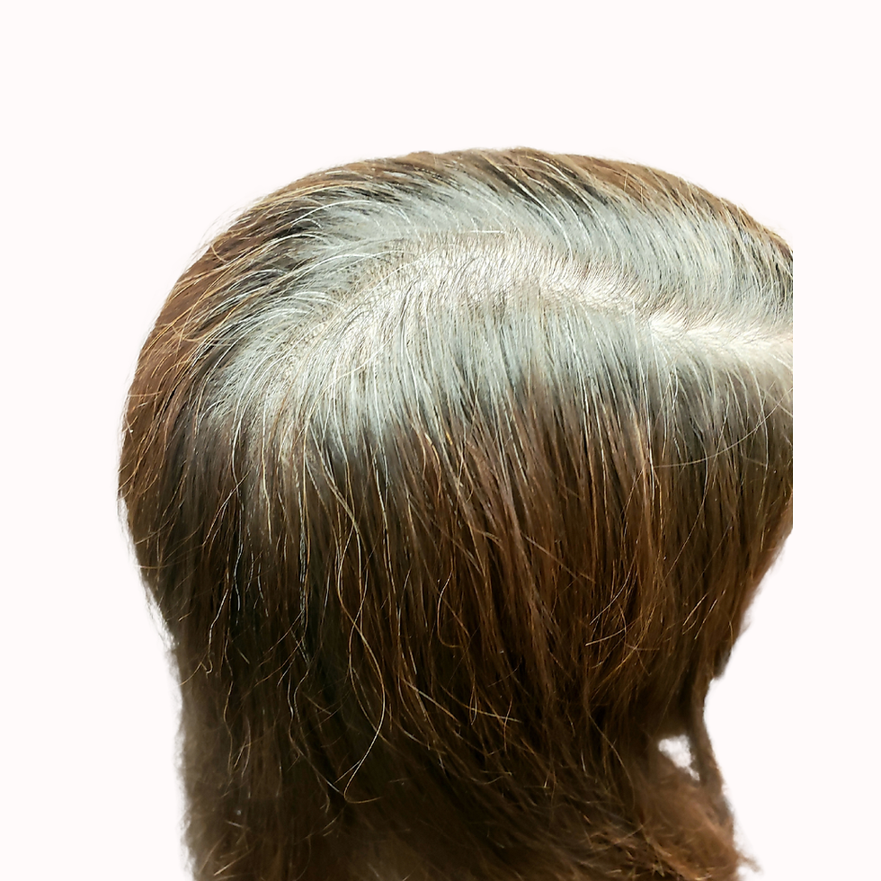 Gray Blending vs Express Gray Coverage: Choosing the Right Approach for Your Hair