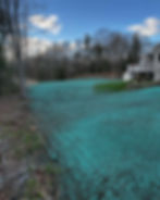 08EAE3D1-916E-4F1F-965F-436B829FB9F7