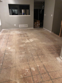Flooring Remodel