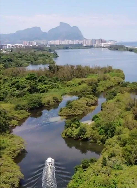 Passeio Ilha da Gigóia