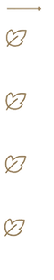 transparent_icons_and_line.png