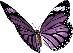 Massages_meÌtamorphiques_NaturalBioty.p